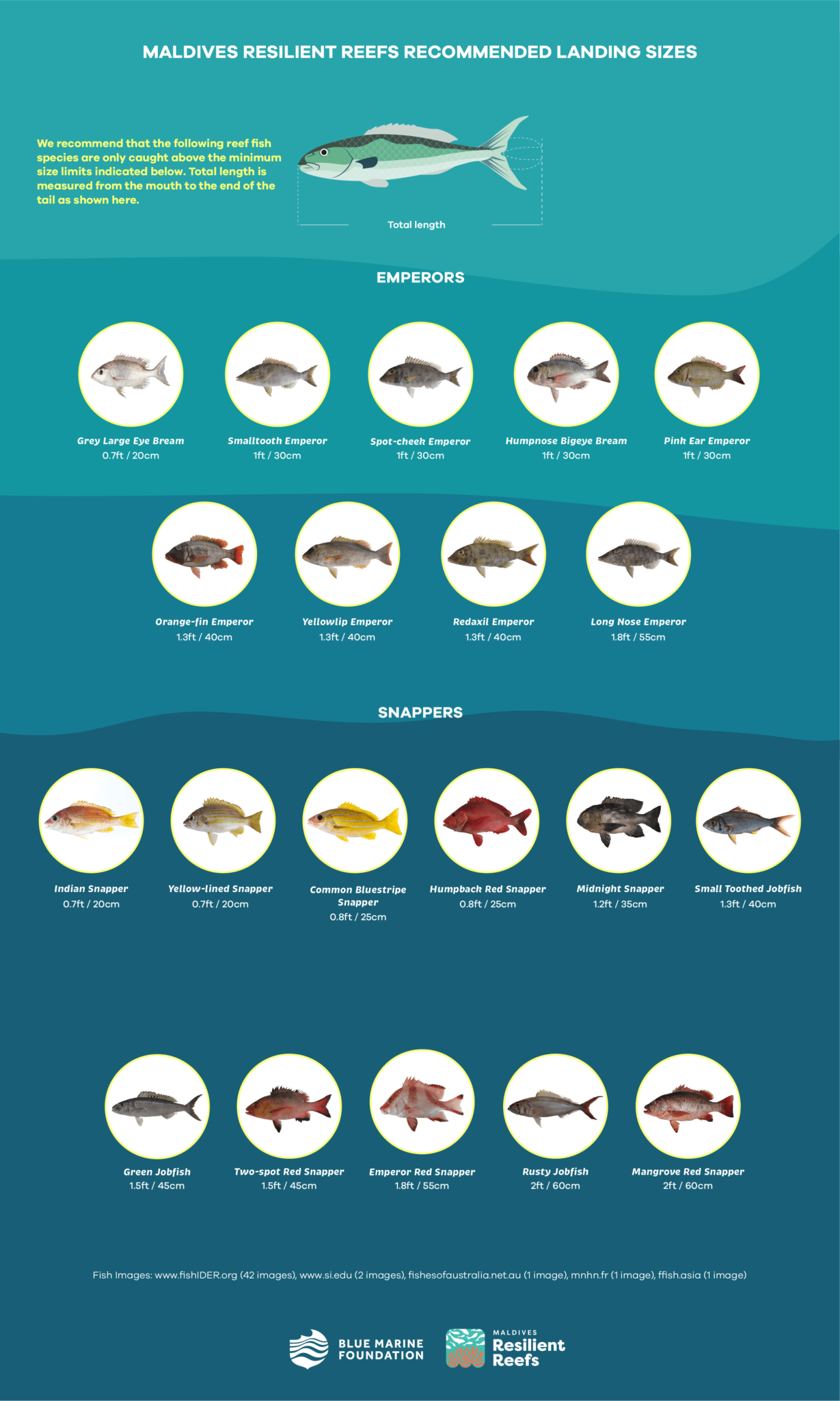 4 fisheries management masmahaa veshi